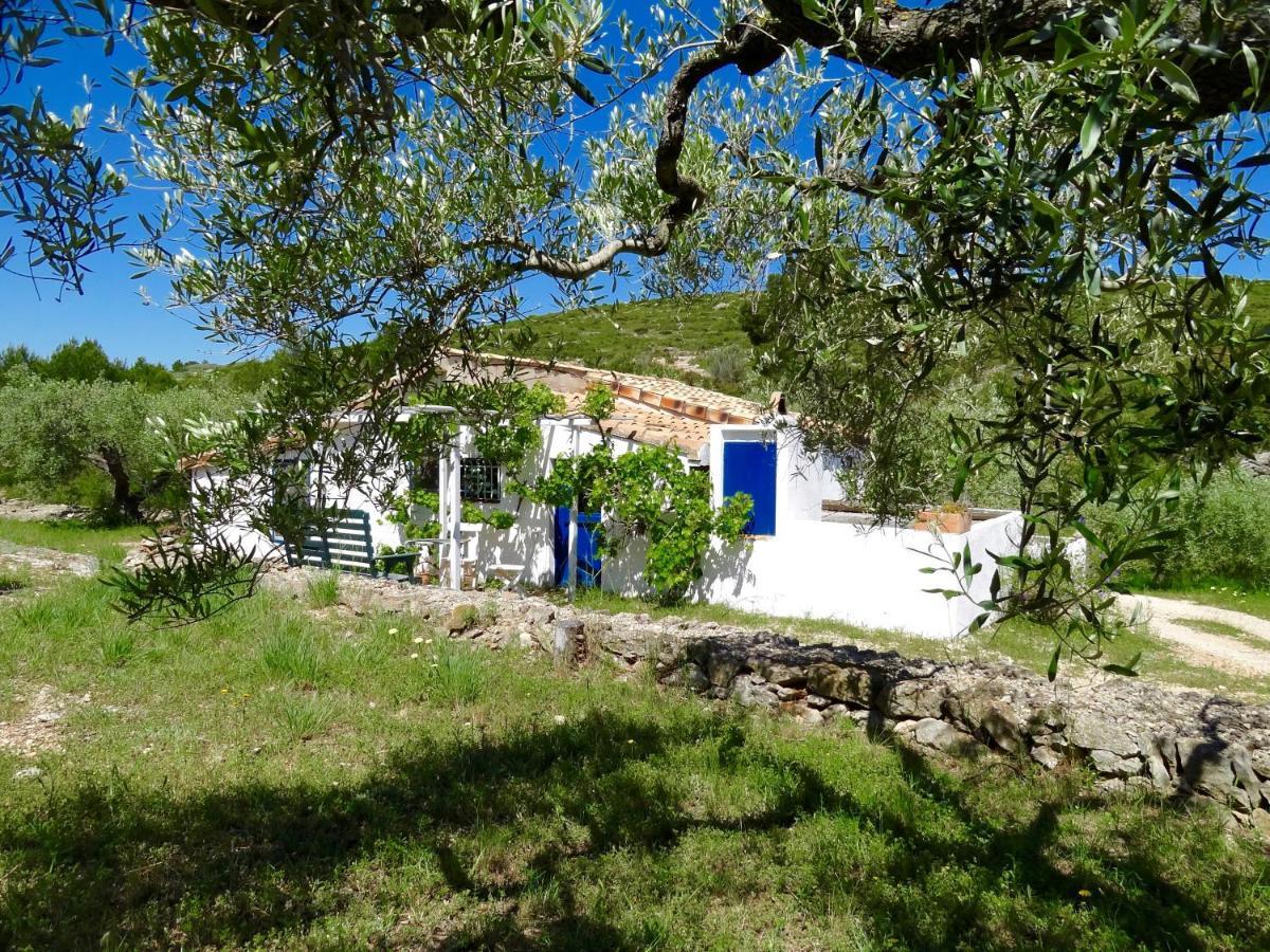 Casita Blanca Vila El Perelló Exterior foto